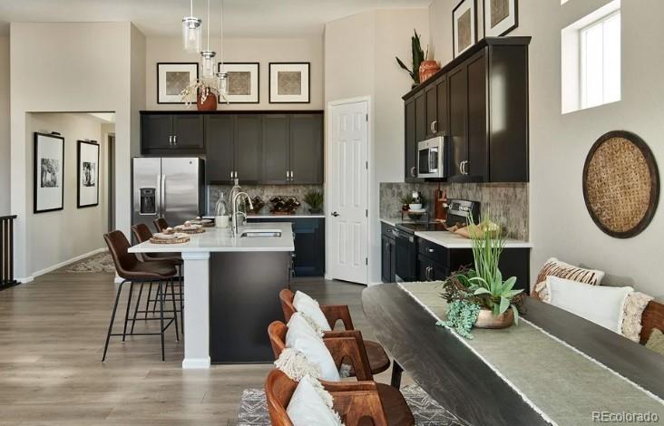 16717 Black Rose Circle