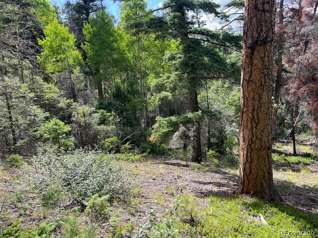 Lot 5757 Balleroy Road