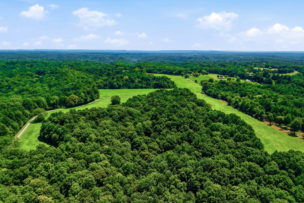 220+/-AC Hensley Cemetery Ln