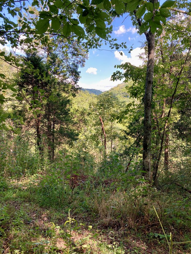 392 Possum Hollow Rd