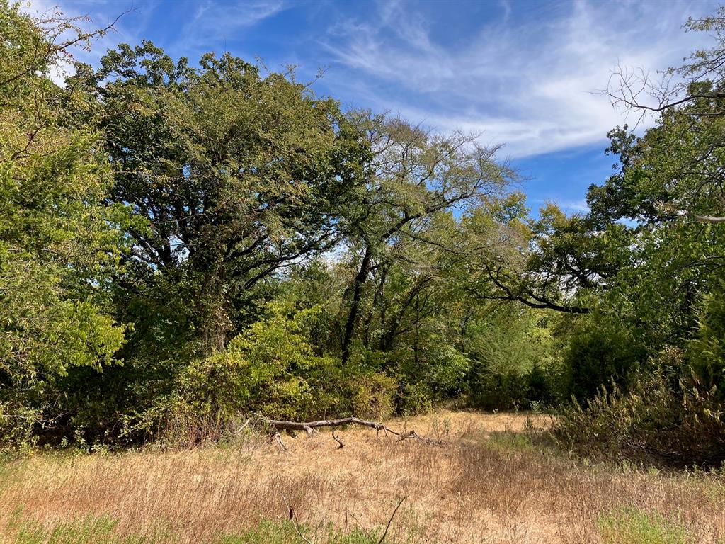 16.11 acres of land in Sulphur Springs ISD with creek, large tree-lined pond, and water meter on site! Active wildlife including deer and ducks. Property has good mix of open areas and woods with large mature oak and other hardwoods. Pond holds good water despite the recent drought conditions. Creek has a permanent concrete crossing wide enough for trucks.