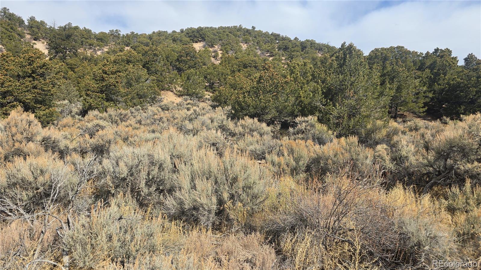 Lot 1628 Hidalgo Road