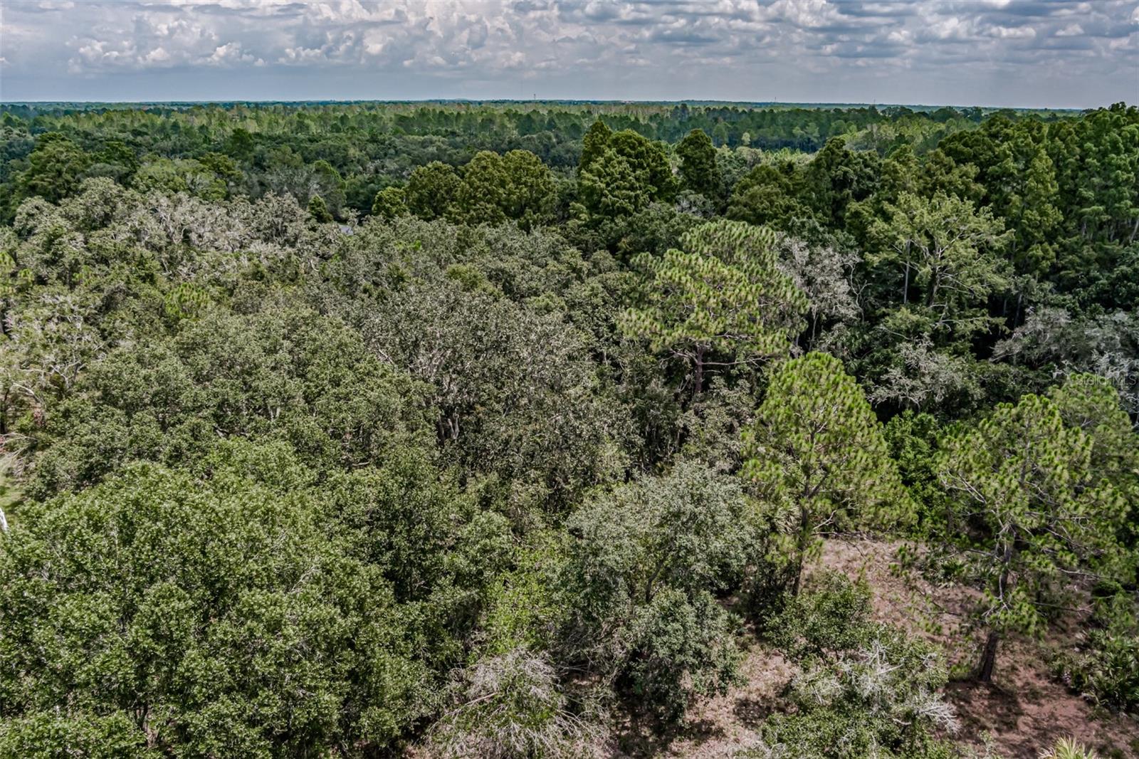 401 Indian Meadow Court