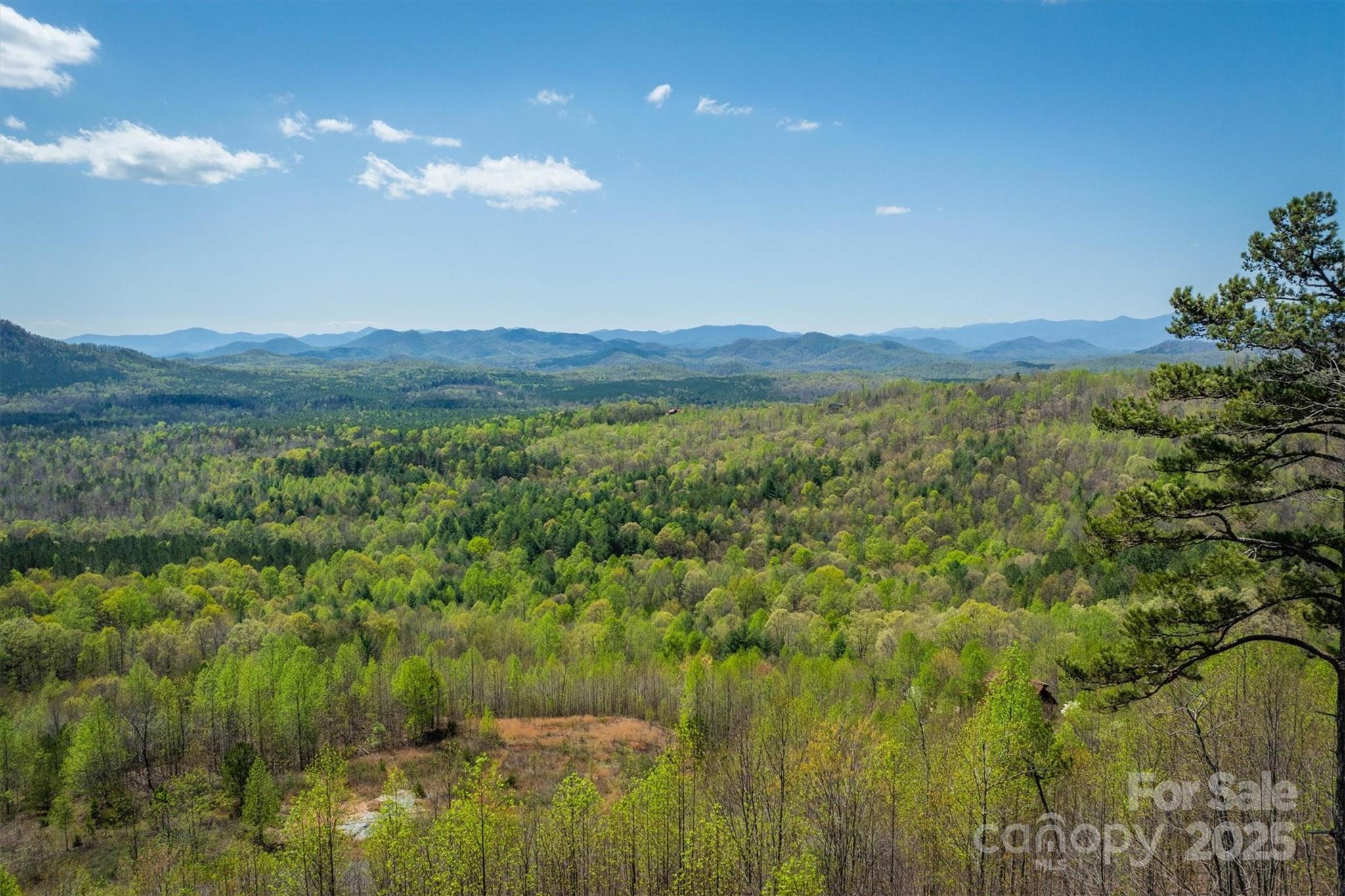 183 Woodgate Trail 103