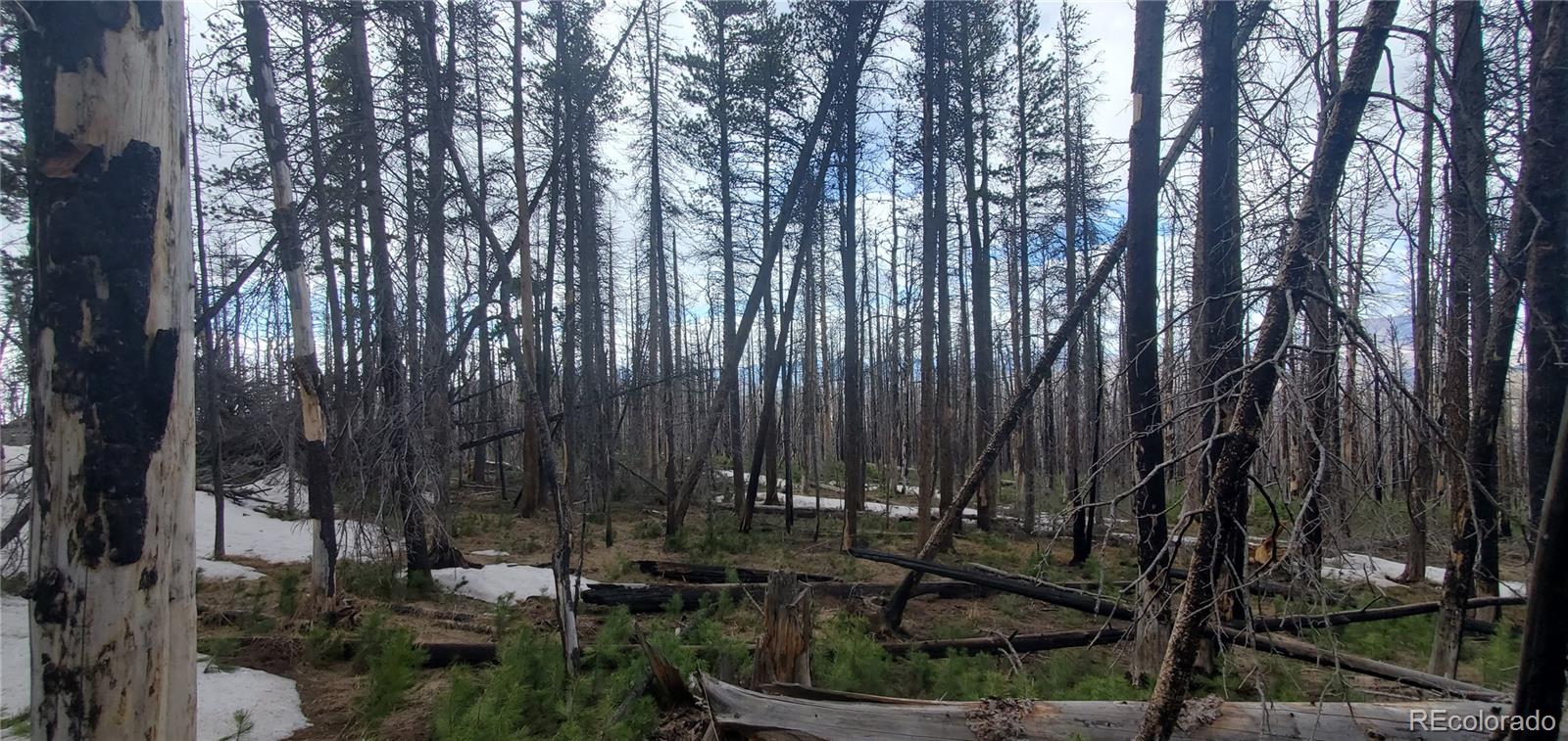 Lot 2738 Newman Place