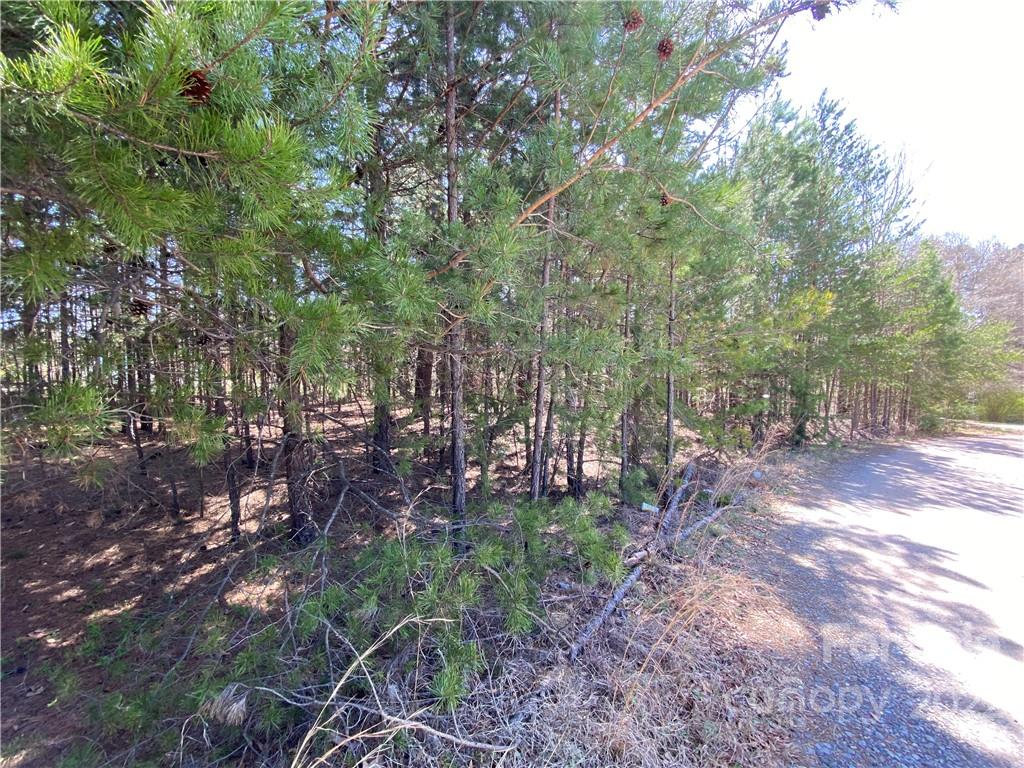 Next to 1670 Buck Oak Road