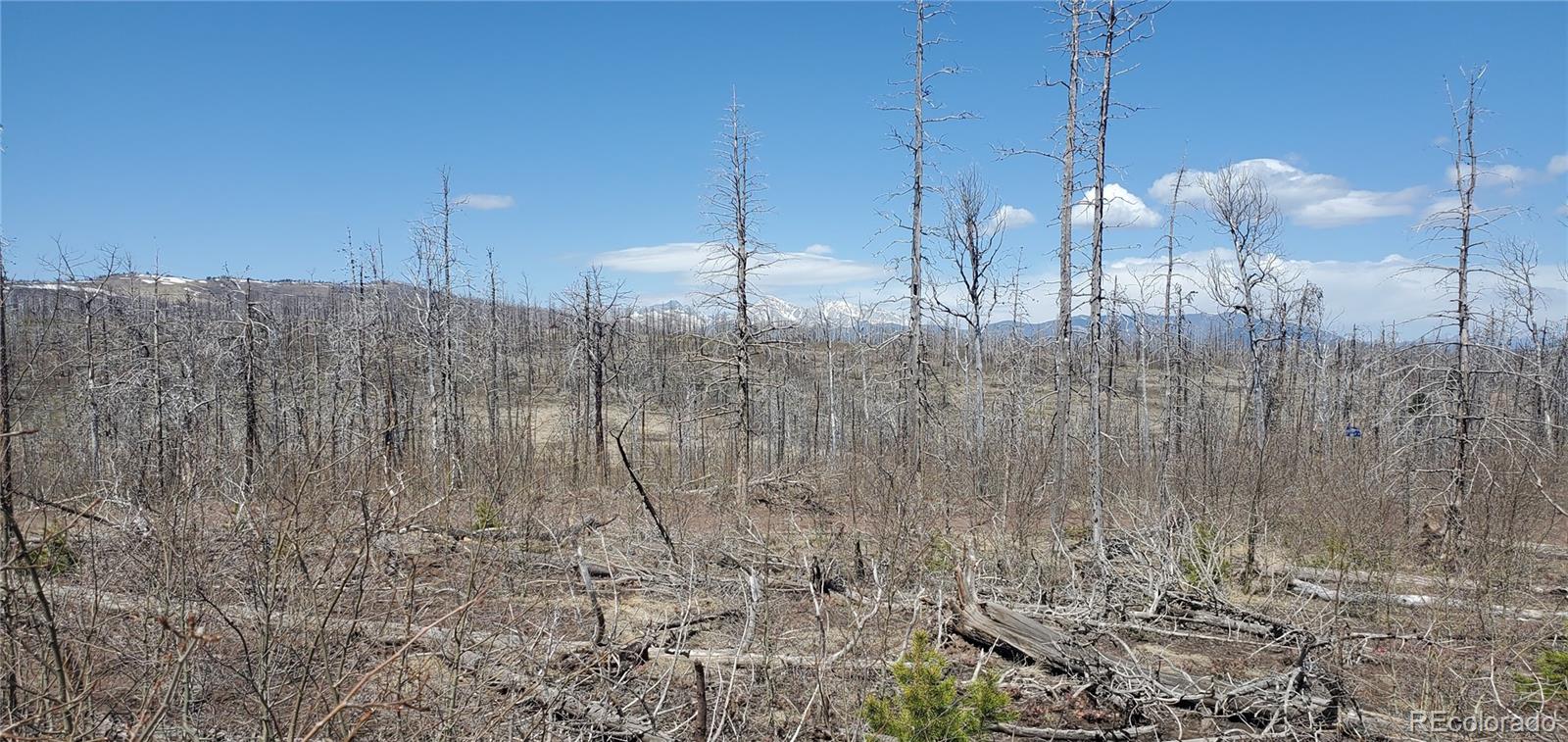 Lot 1667 Towey Place