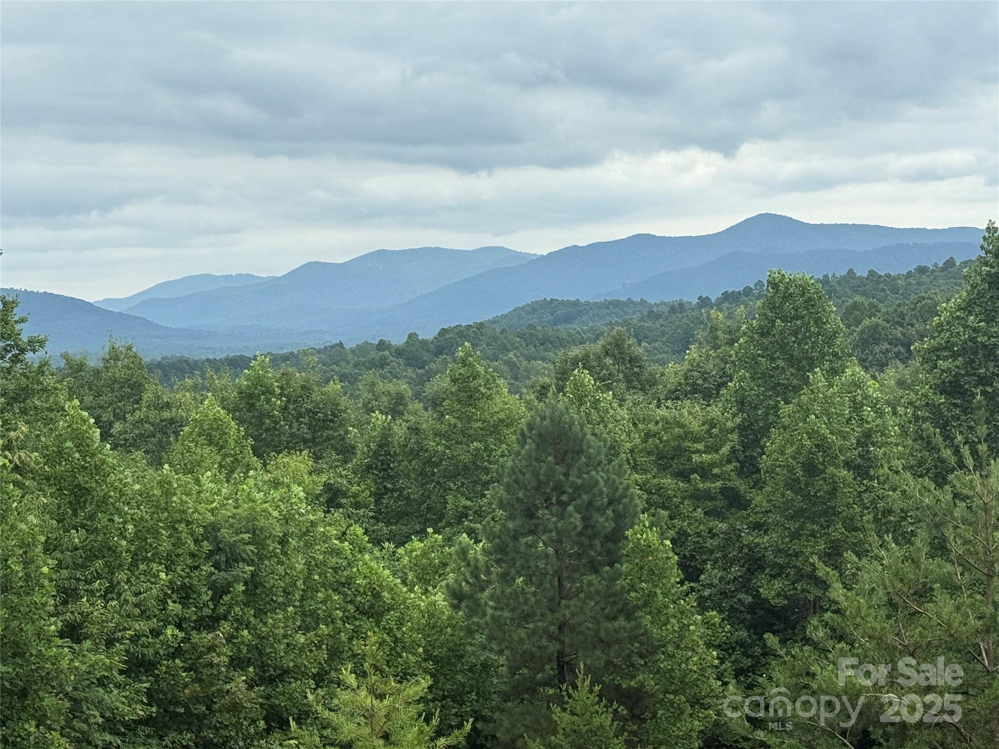 166 Coal Pit Mountain Drive 359