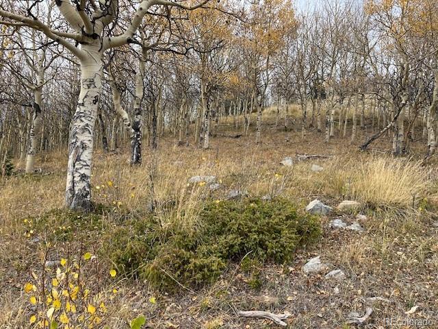 Lot 6557 Schlueter Road