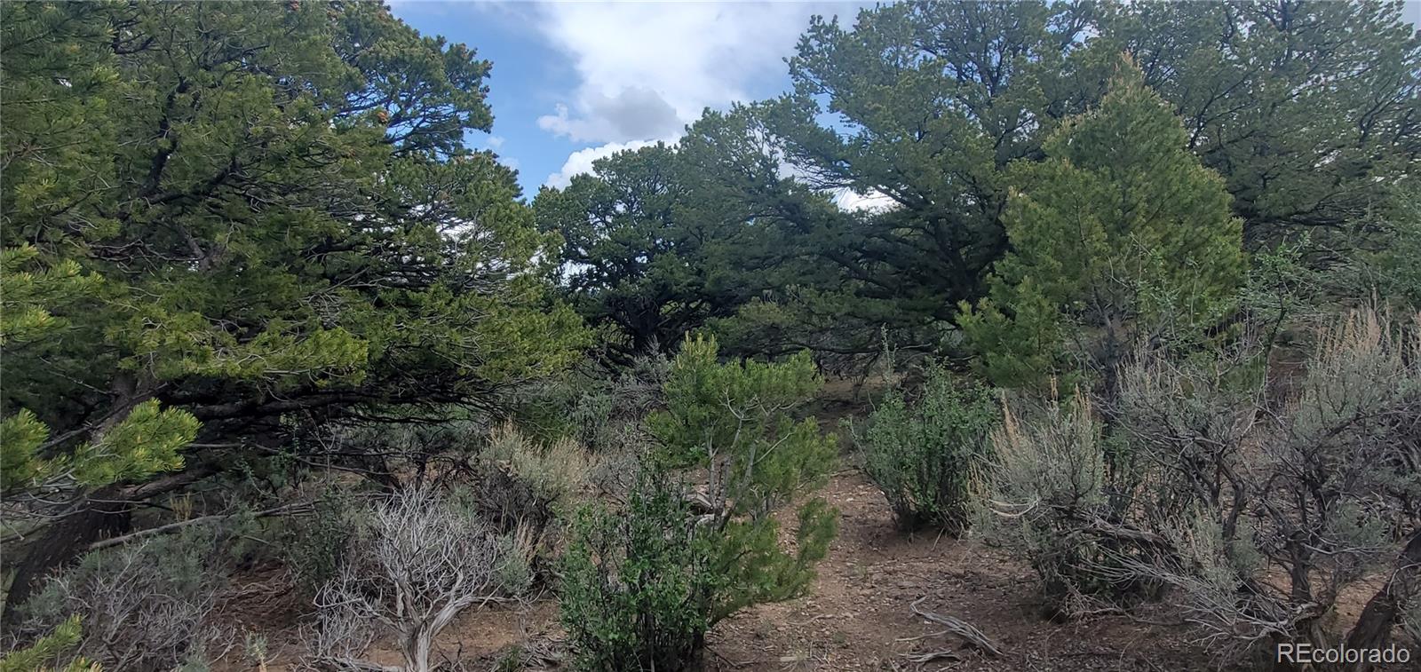 Lot 7853 Malott Road