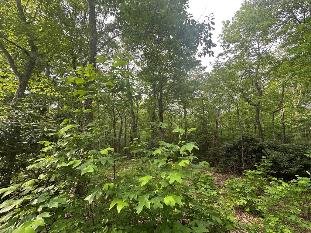 Escape to the Blue Ridge Mountains! Discover this beautiful mountain property located just off the scenic Blue Ridge Parkway in Patrick County, Virginia. Nestled in a gated community, this lot features underground electricity already in place—a perfect head start for building your dream mountain getaway! Enjoy stunning long-range mountain views, peaceful surroundings, and the sights and sounds of local wildlife—deer, turkey, and more—all while being just: 10 minutes to Fancy Gap, 20 minutes to Hillsville, VA,  20 minutes to Mt. Airy, NC You're close to charming shops, great restaurants, and essential amenities, yet tucked away from the noise and traffic of city life. Whether you're dreaming of a quiet retirement home, a weekend retreat, or a forever home in the mountains—this property offers the perfect balance of seclusion and convenience. Don't miss your chance to own a slice of mountain paradise. Call today to schedule a visit or learn more!