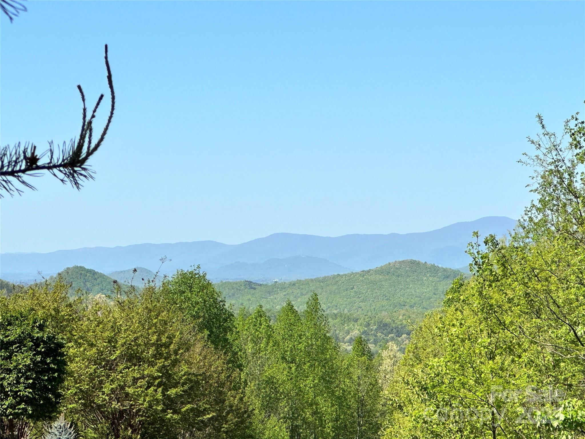 61 Scenic Vista Drive 238