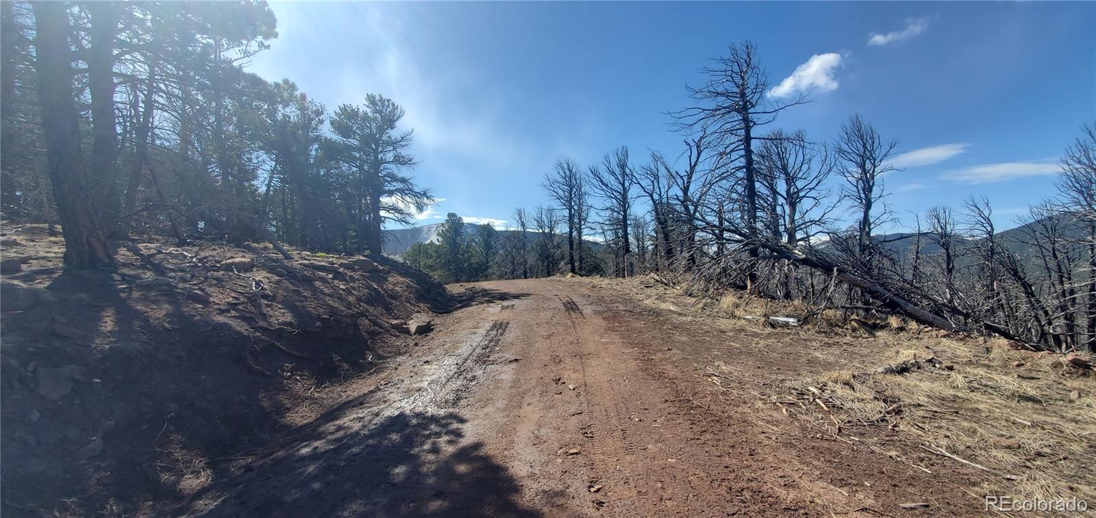 Lot 2739 Newman Place