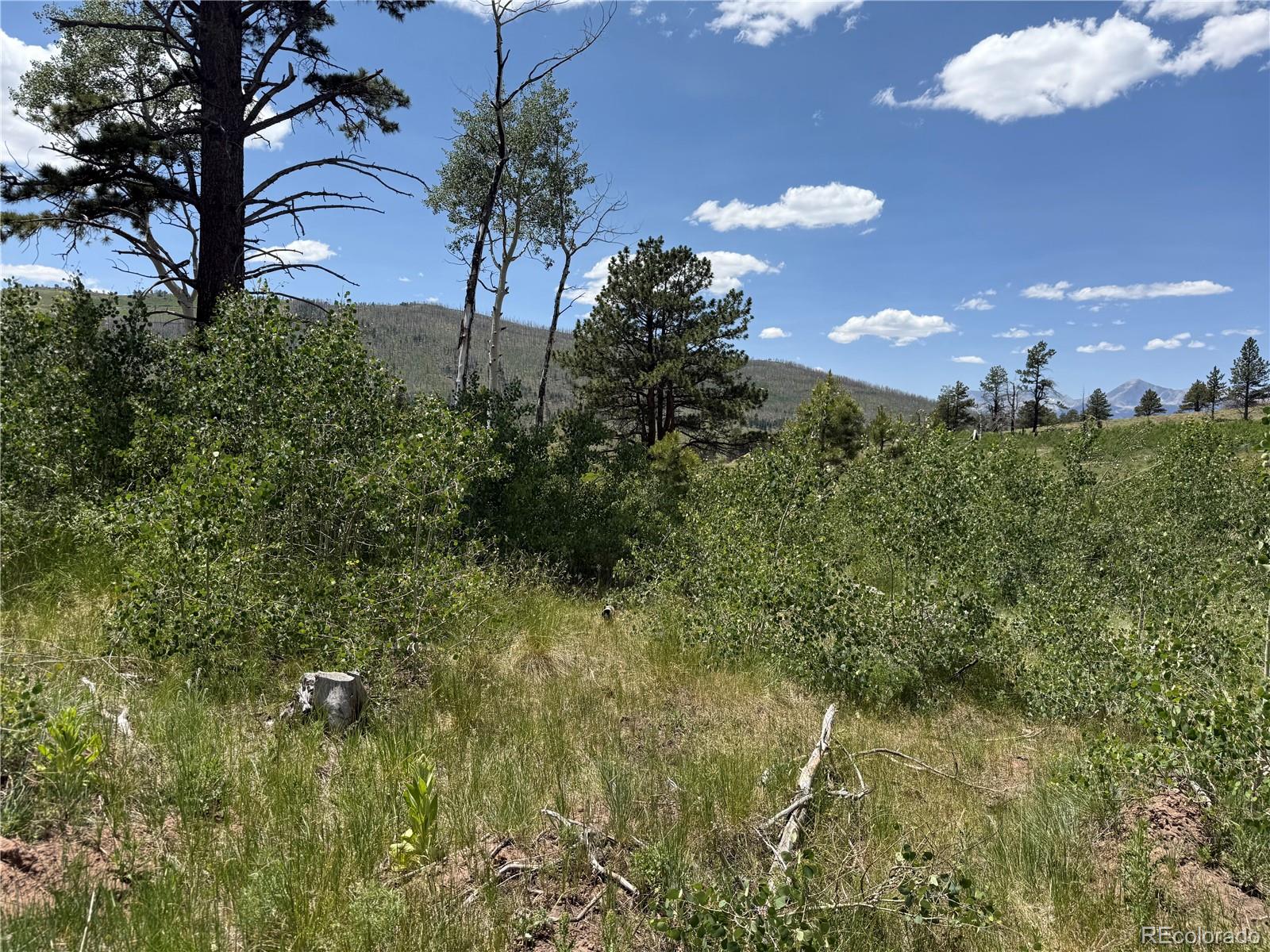 Lot 1103 Emery Loop
