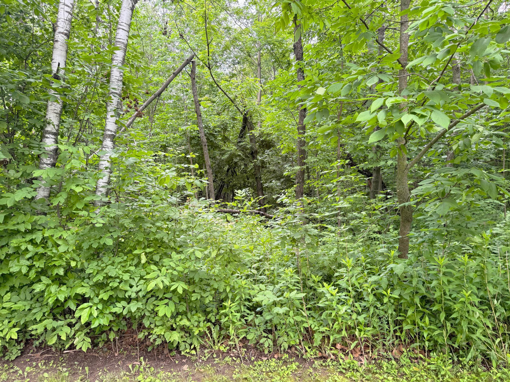 1473 Ann Lake Road