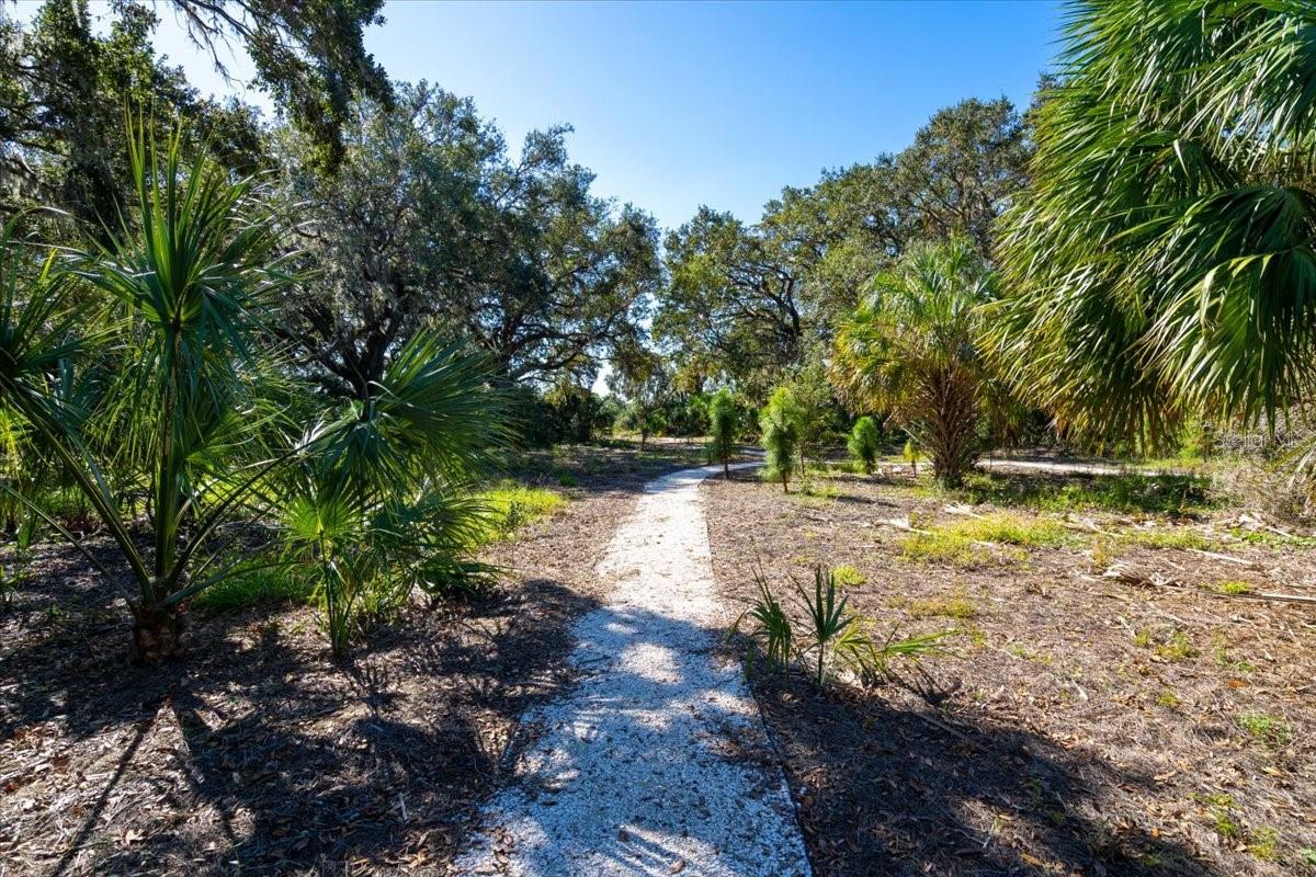 10730 High Noon Trail
