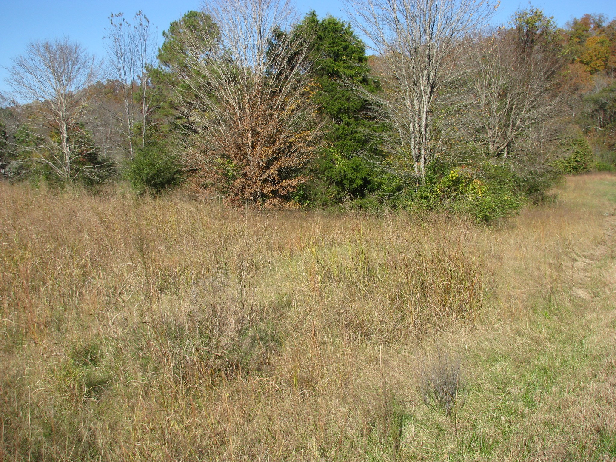 199 Spann Loop