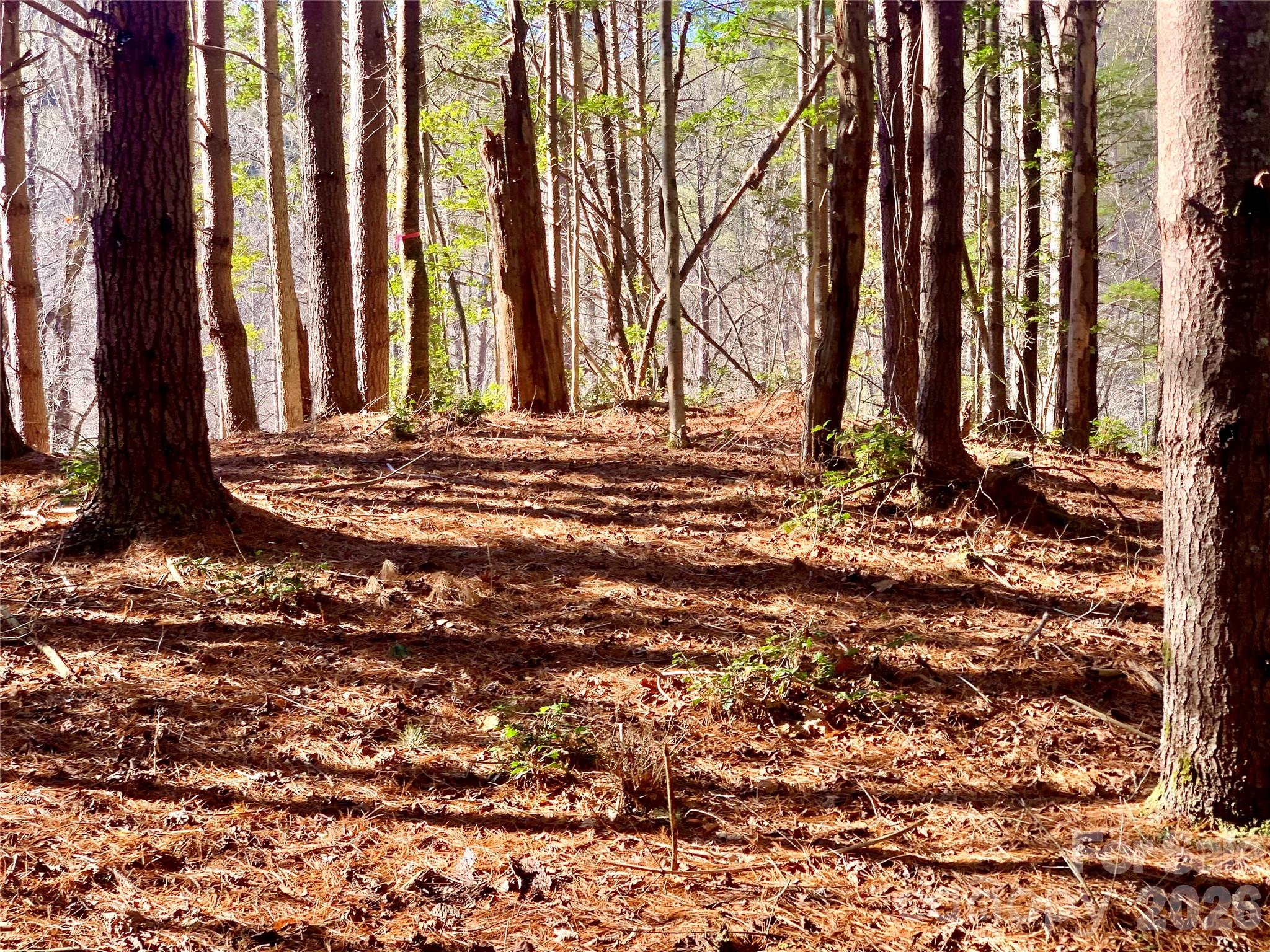 6129 Painted Ridge Trail Lot 739