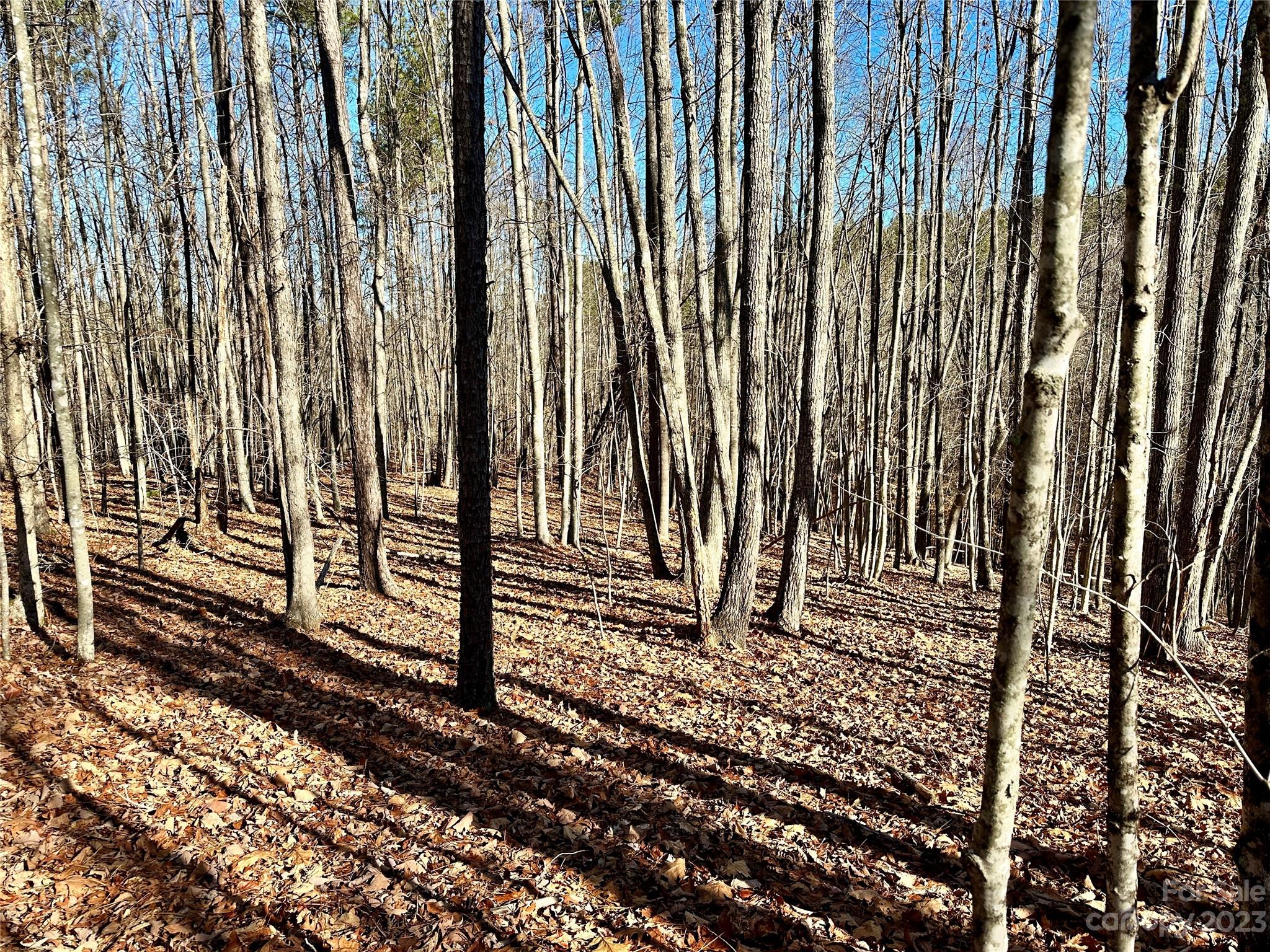 109 Highland Trail 471