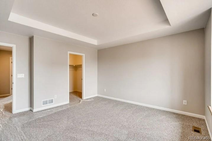 13374 Blue Amber Court