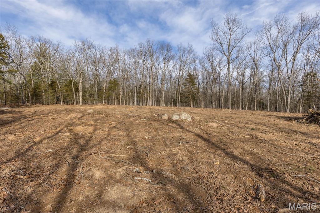 12.5+/- Acres On Effin Road