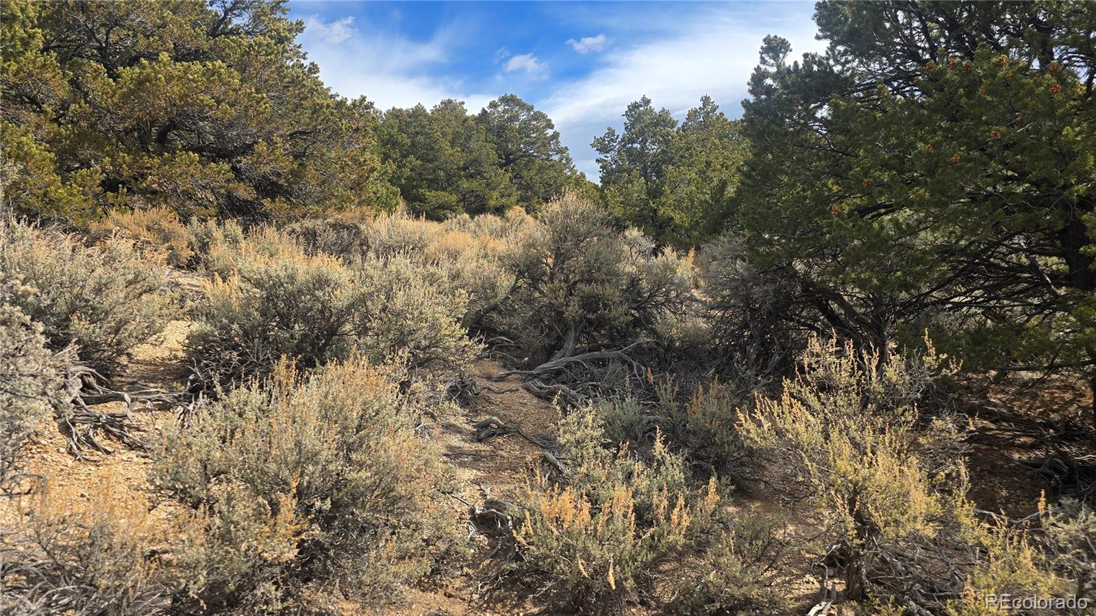 Lot 1628 Hidalgo Road