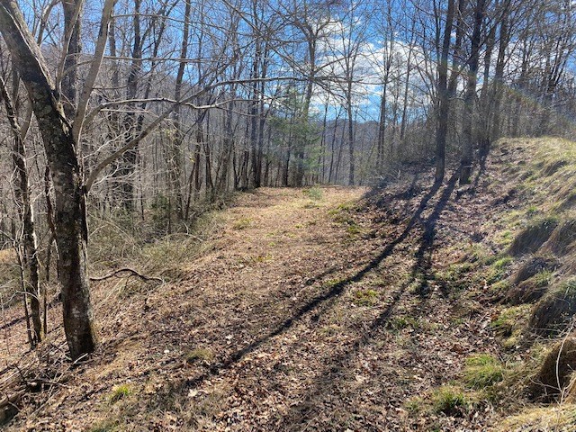 Cane Creek