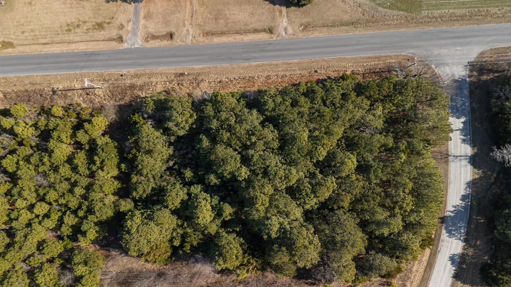 Lot X Butler's Bluff Dr Lot X