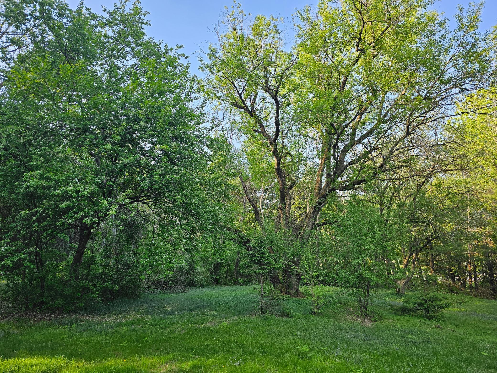 146 Green Spring Road