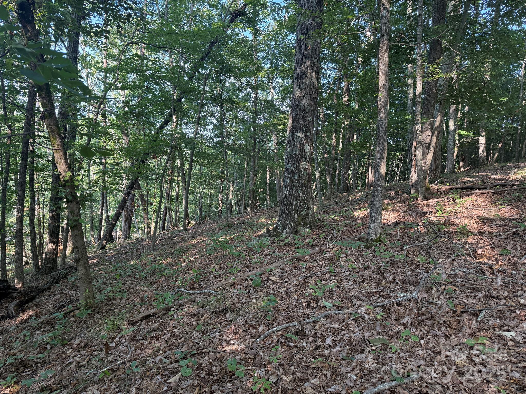 Lot 333 Scenic Vista Drive 333