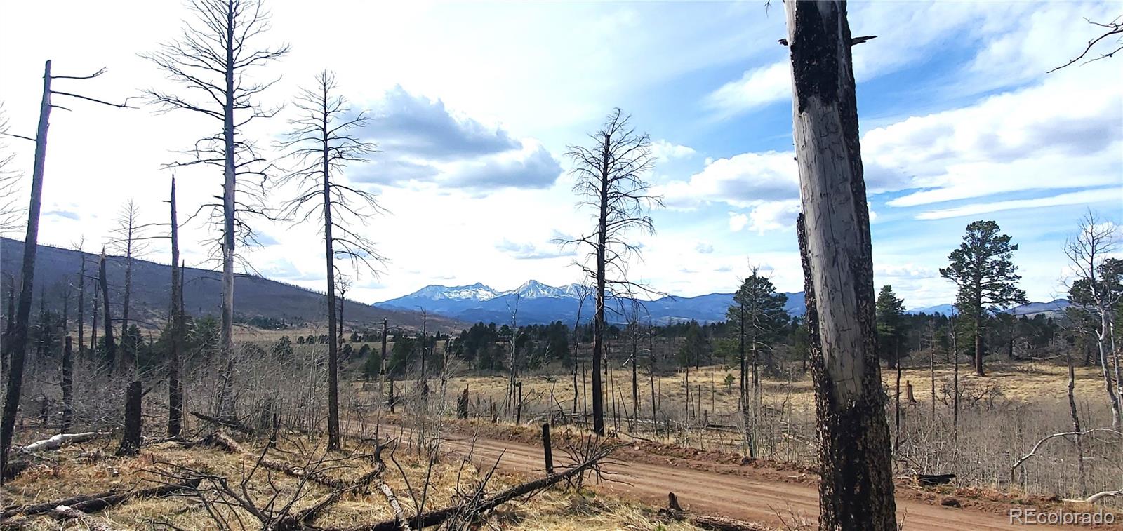 lot 1223 Emery Loop