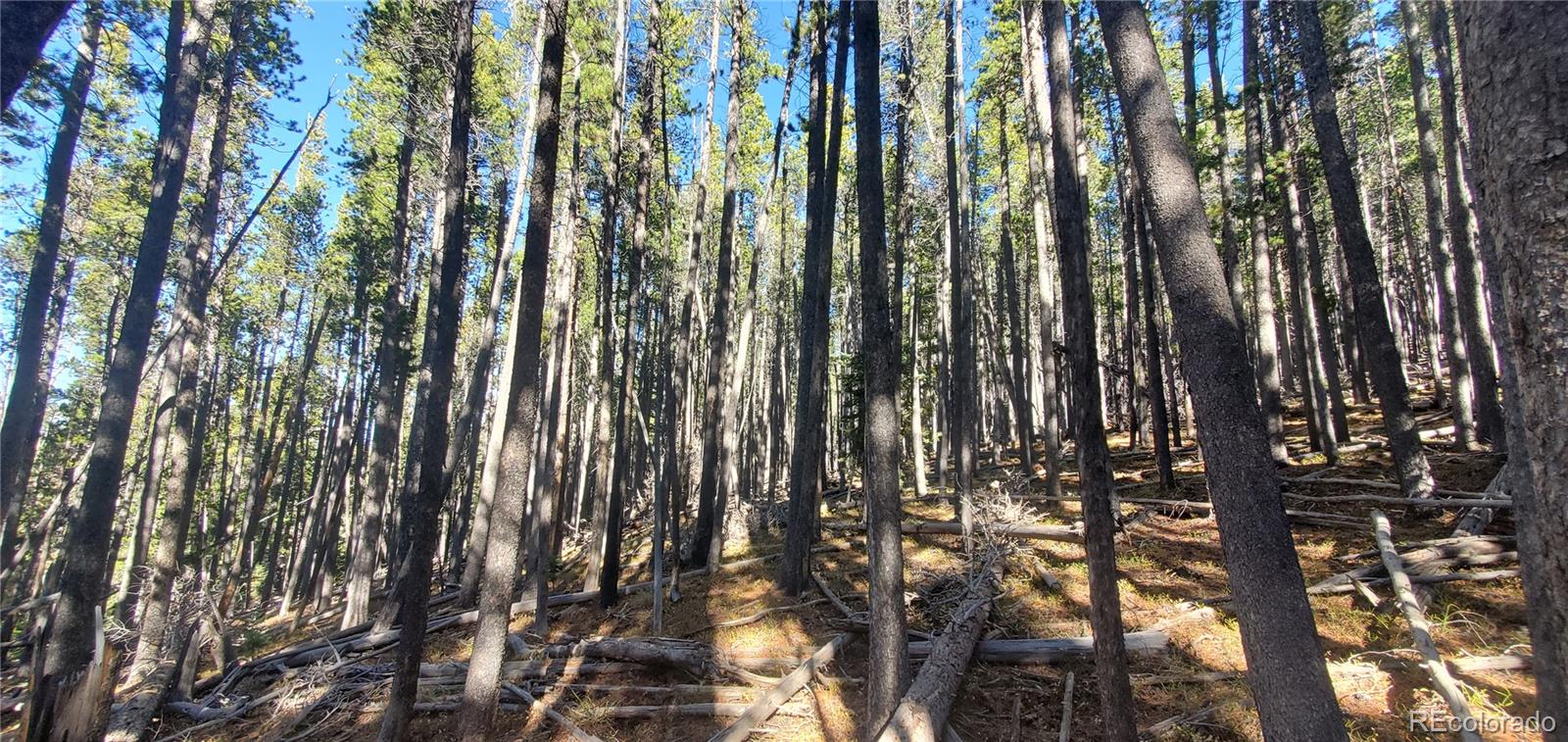 Lot 2682 & 2683 Purnell Lane