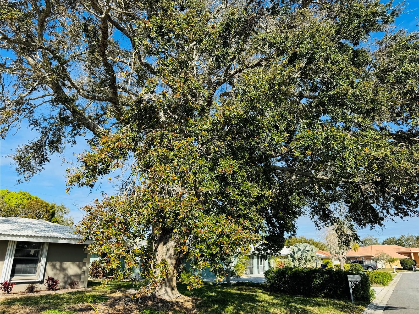 237 Matisse Circle N