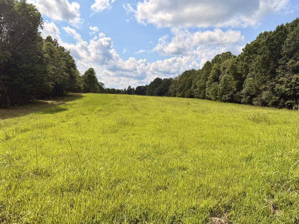 220+/-AC Hensley Cemetery Ln