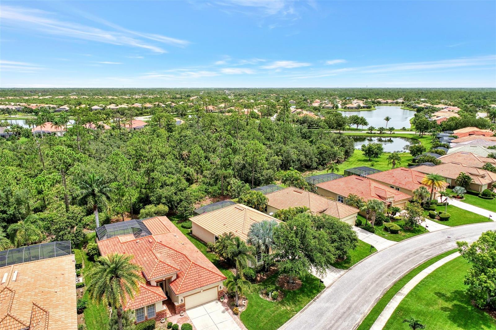 13123 Preserve Court