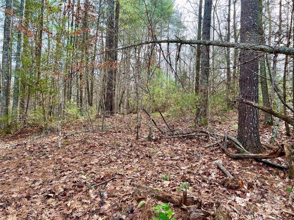 Lot 77, 1712 Round Mountain Parkway Lot 77