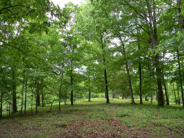 2310 Poplar Grove Rd