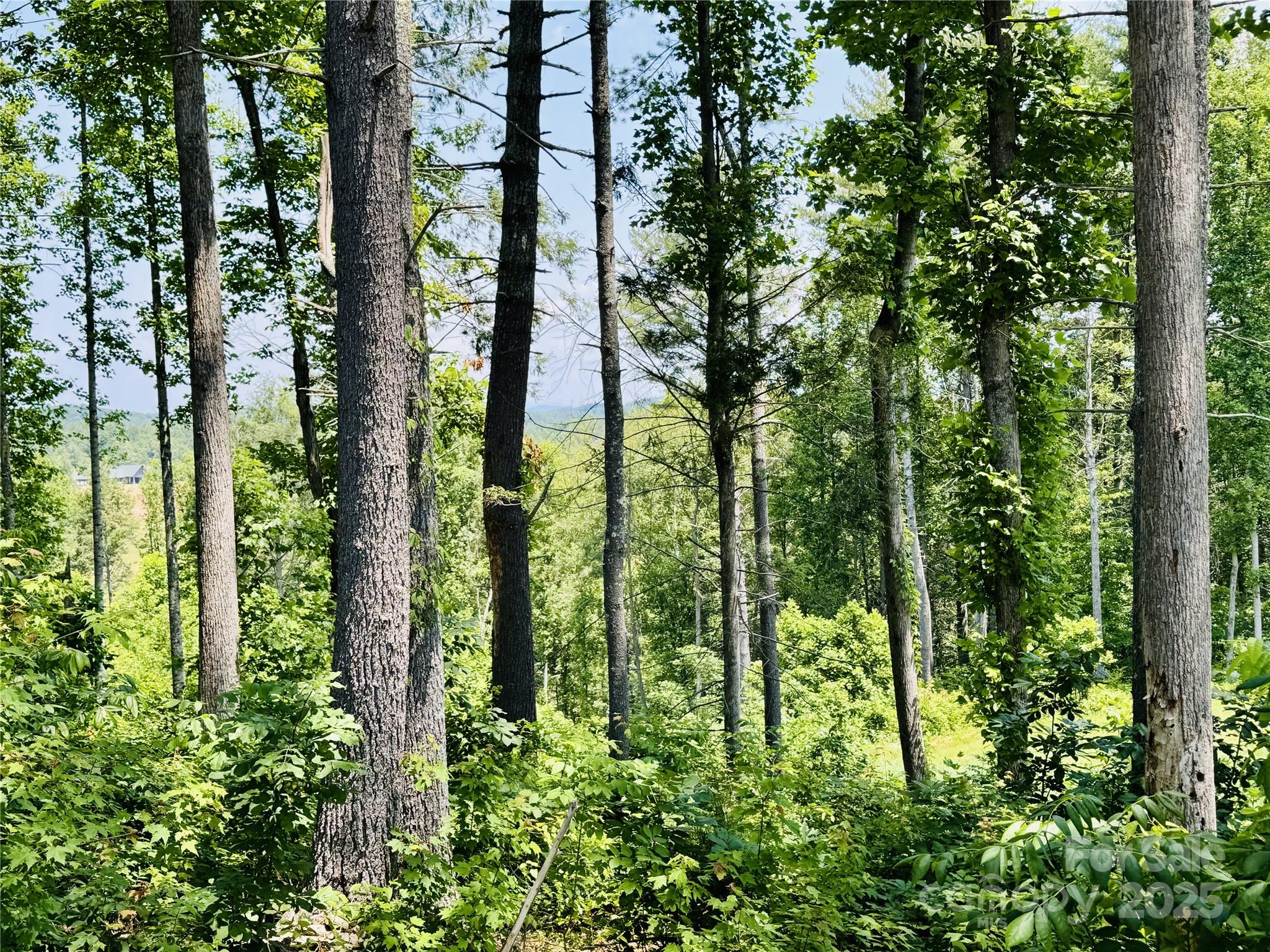 2.07 acres, 2058 Thoroughbred Way Lot G16