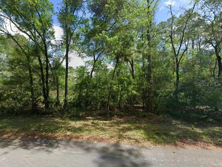 Discover the opportunity to build your dream home on this beautiful 1.16-acre wooded lot located in Crystal Manor Unit 3. Enjoy the privacy and peaceful natural surroundings while remaining conveniently close to everything Crystal River has to offer. Well and septic will be needed, offering the opportunity to design your future homesite to suit your needs. There are existing homes located approximately one block away off W Riverwood Drive, providing a sense of nearby residential development while maintaining the privacy of this spacious property. Just minutes from downtown Crystal River, you can enjoy local shops, waterfront dining, festivals, and community events. Outdoor enthusiasts will appreciate the nearby opportunities for boating, kayaking, fishing, paddleboarding, and the unique experience of swimming with manatees. Multiple public boat ramps provide access to the Crystal River, the Gulf, and Lake Rousseau. With no HOA and easy access to major highways, this 1.16-acre property offers a wonderful blend of privacy, convenience, and the Florida Nature Coast lifestyle.