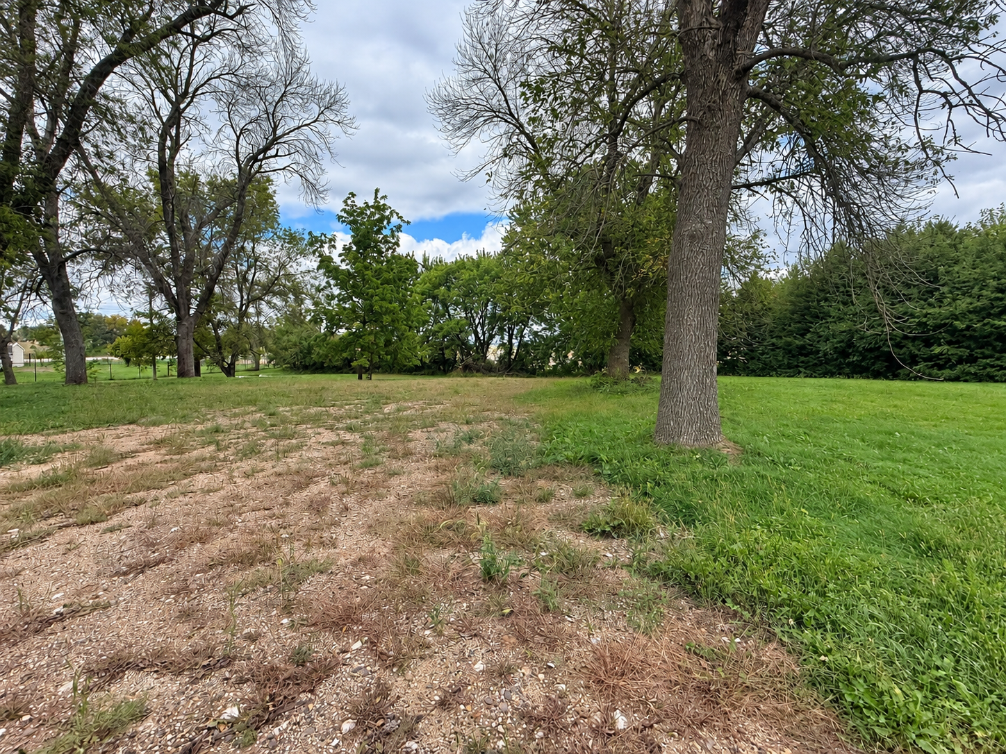 Just Listed! 103 5th Street NE, Geneva, MN