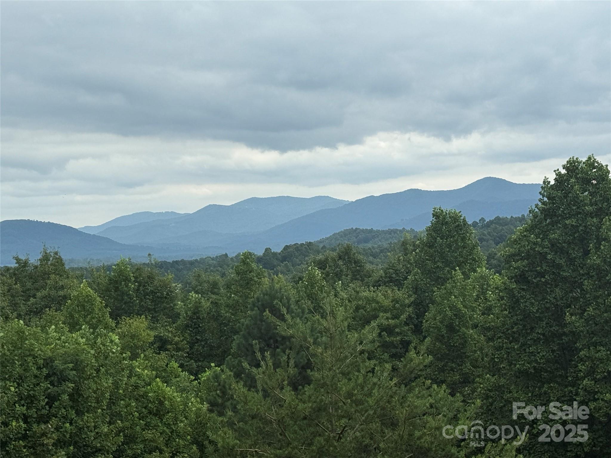 166 Coal Pit Mountain Drive 359