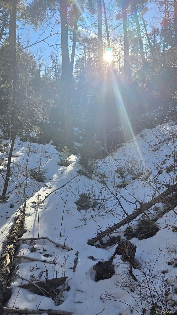 Lot 5540 Joy Road
