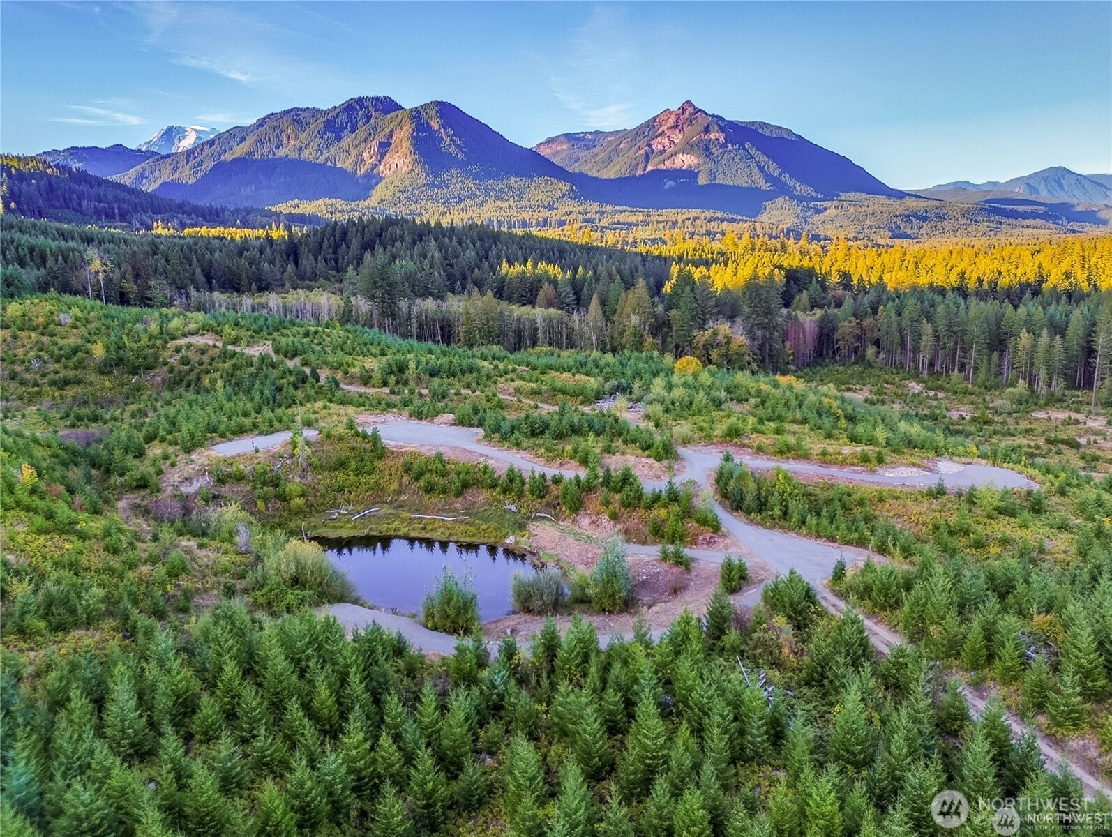 Rare 19+ acre mountain retreat in Packwood with stocked fish pond and ready-to-build sites for your dream home and ADU. Take in sweeping 360° views of Mt. Rainier, the Goat Rocks, and Tatoosh Range. Beautifully treed with replanted fir under forest tax designation for low taxes and privacy, plus abundant wildlife. Power and drilled well installed; septic needed. Borders public land for endless recreation, yet just minutes to town, White Pass Ski Area, and Mount Rainier National Park. Shown by appointment only—please do not access without agent.