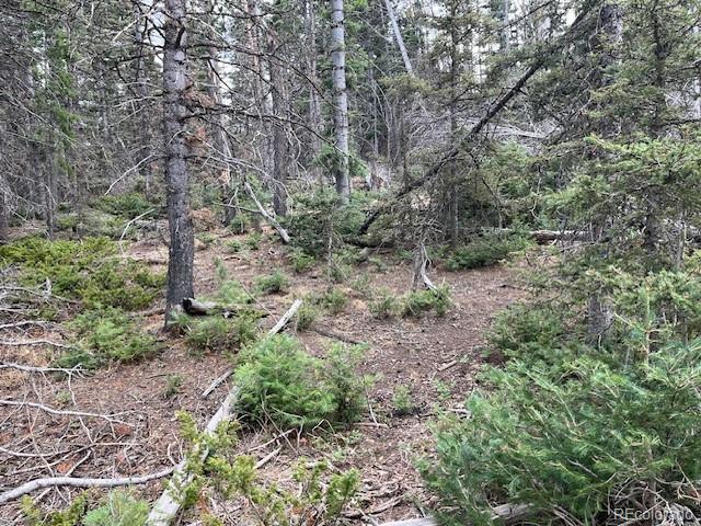 Lot 3091 Sterenson Place