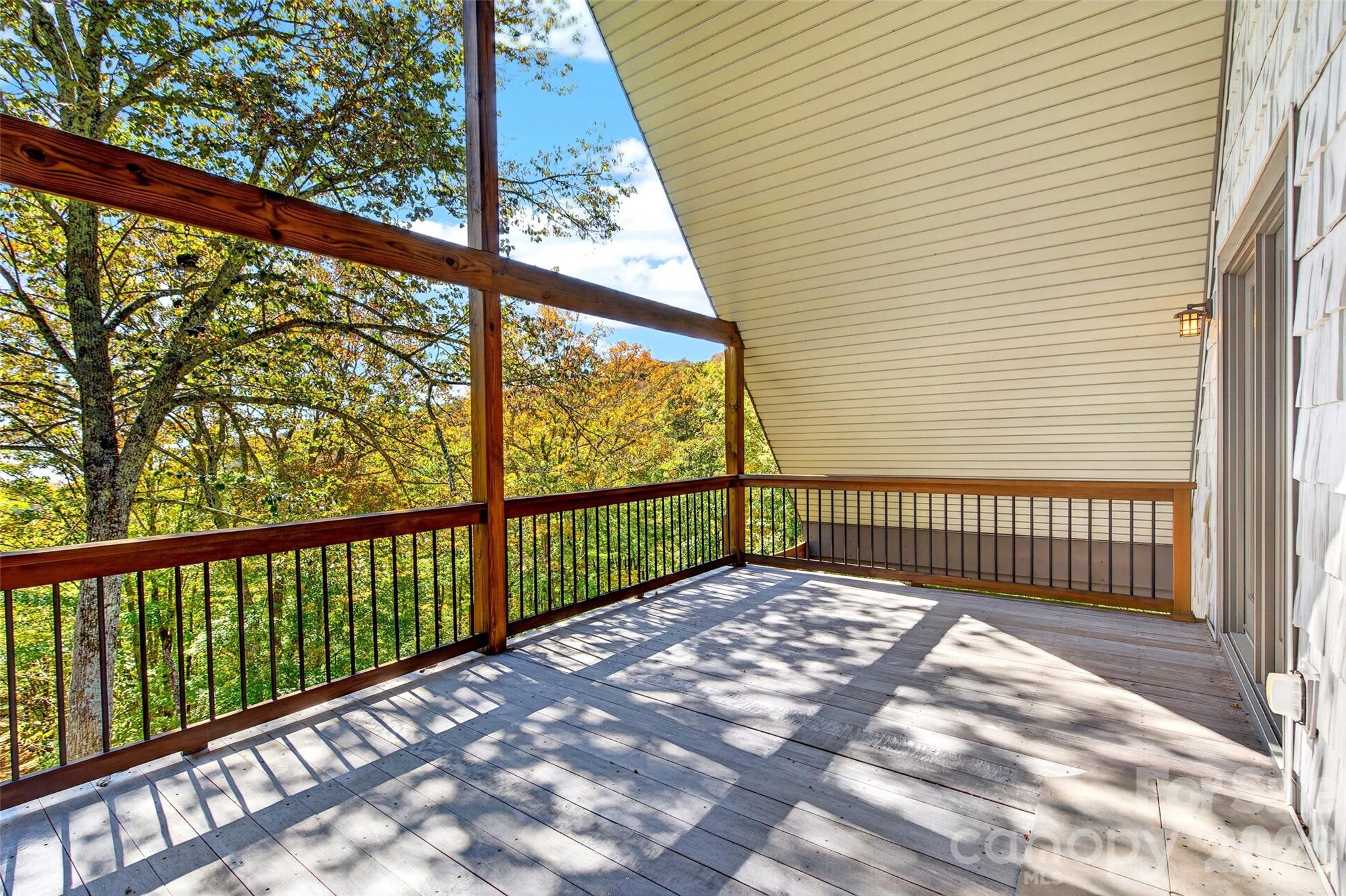 155 Mule Trail Drive