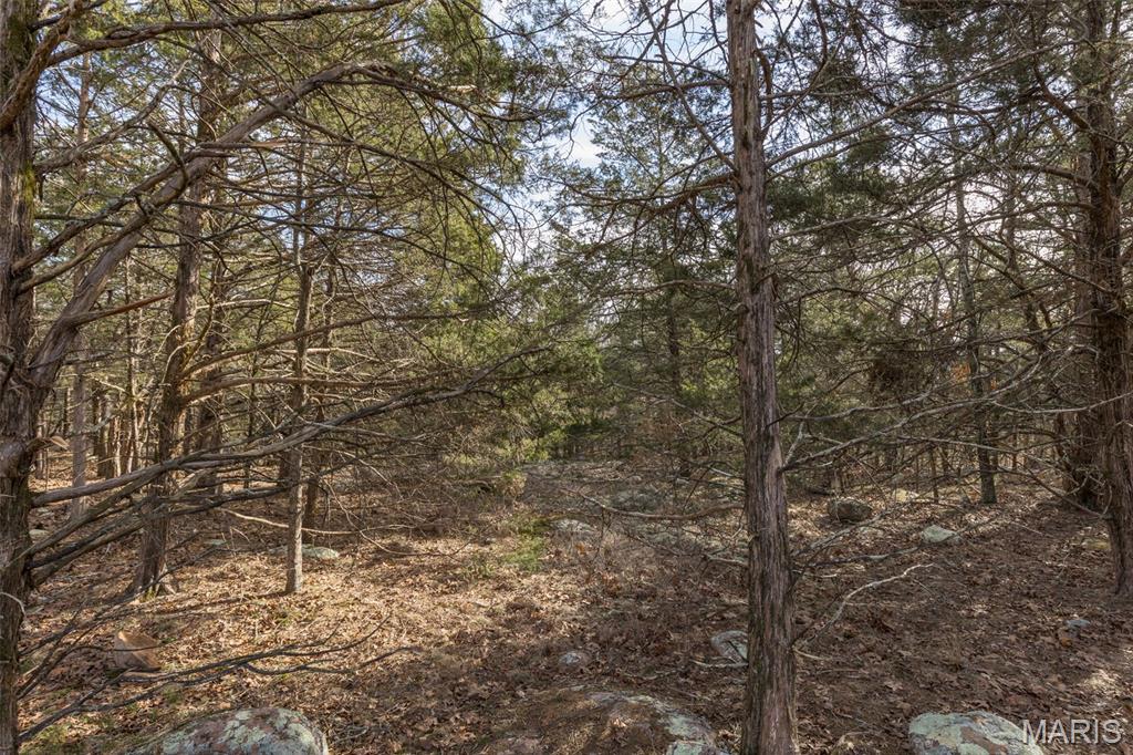 12.5+/- Acres On Effin Road