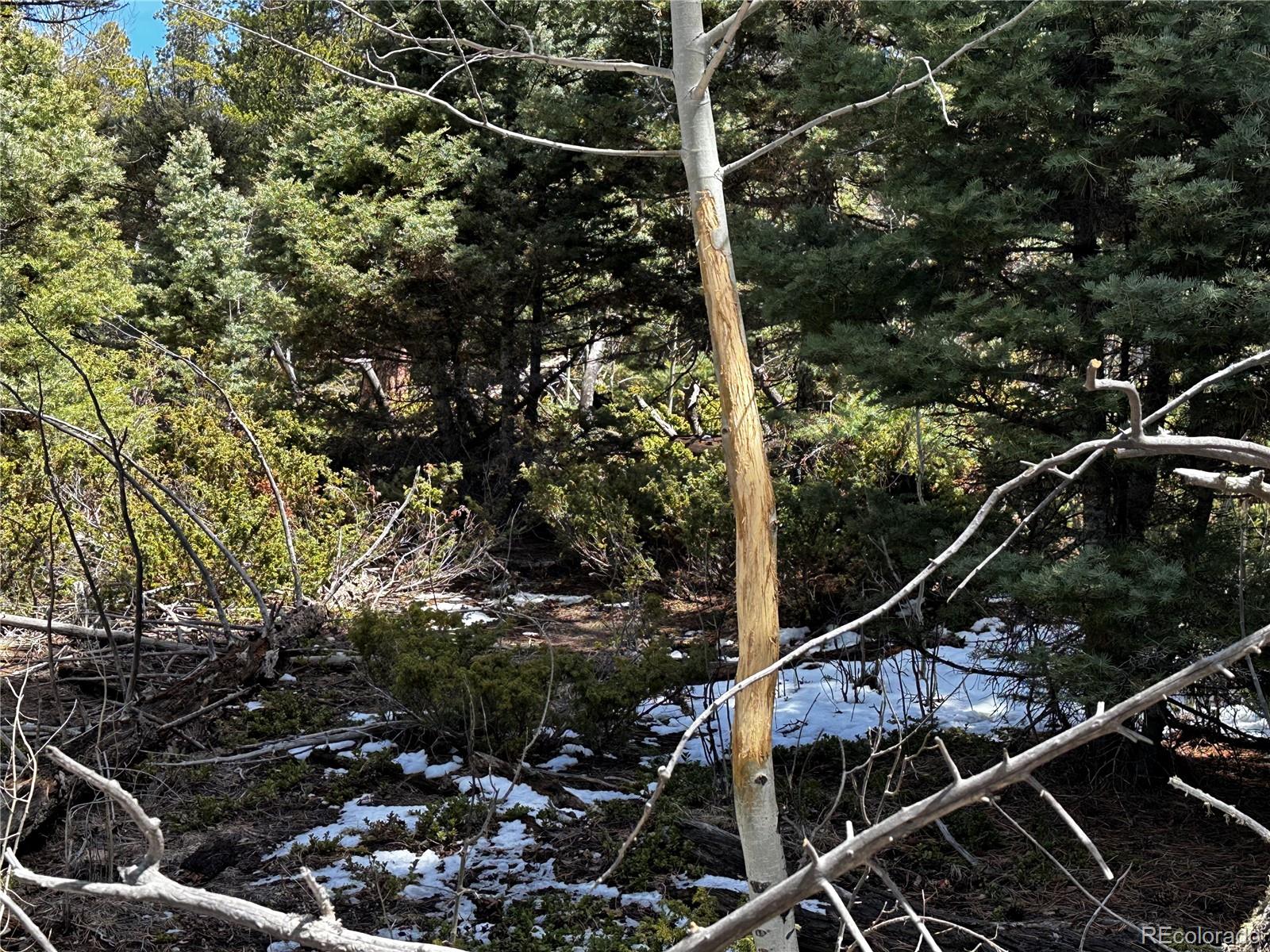 Lot 174 Ferris Place