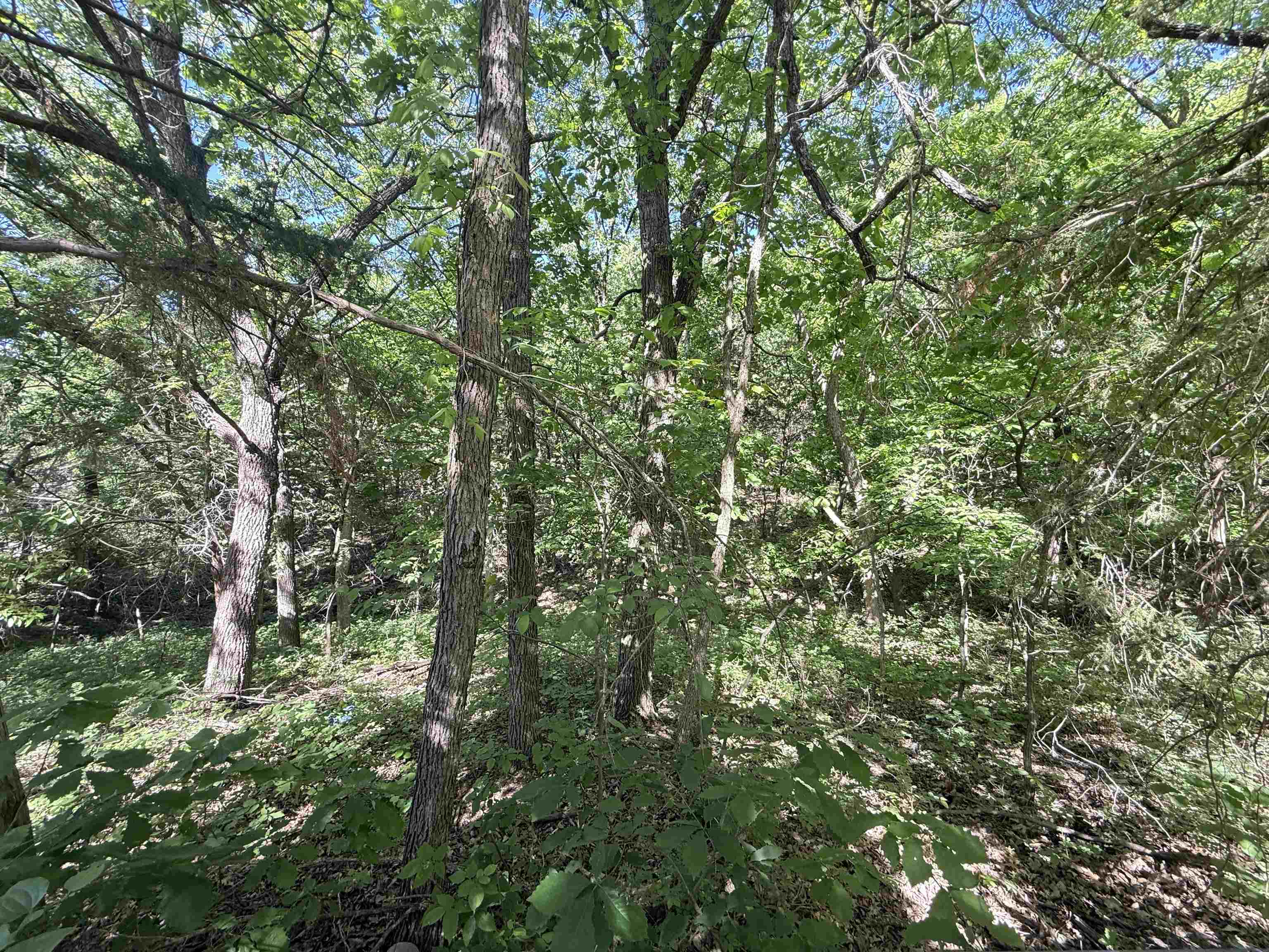 7086 Mill Cove Dr