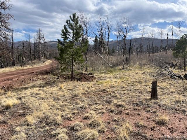 Lot 686 Cogbill Drive
