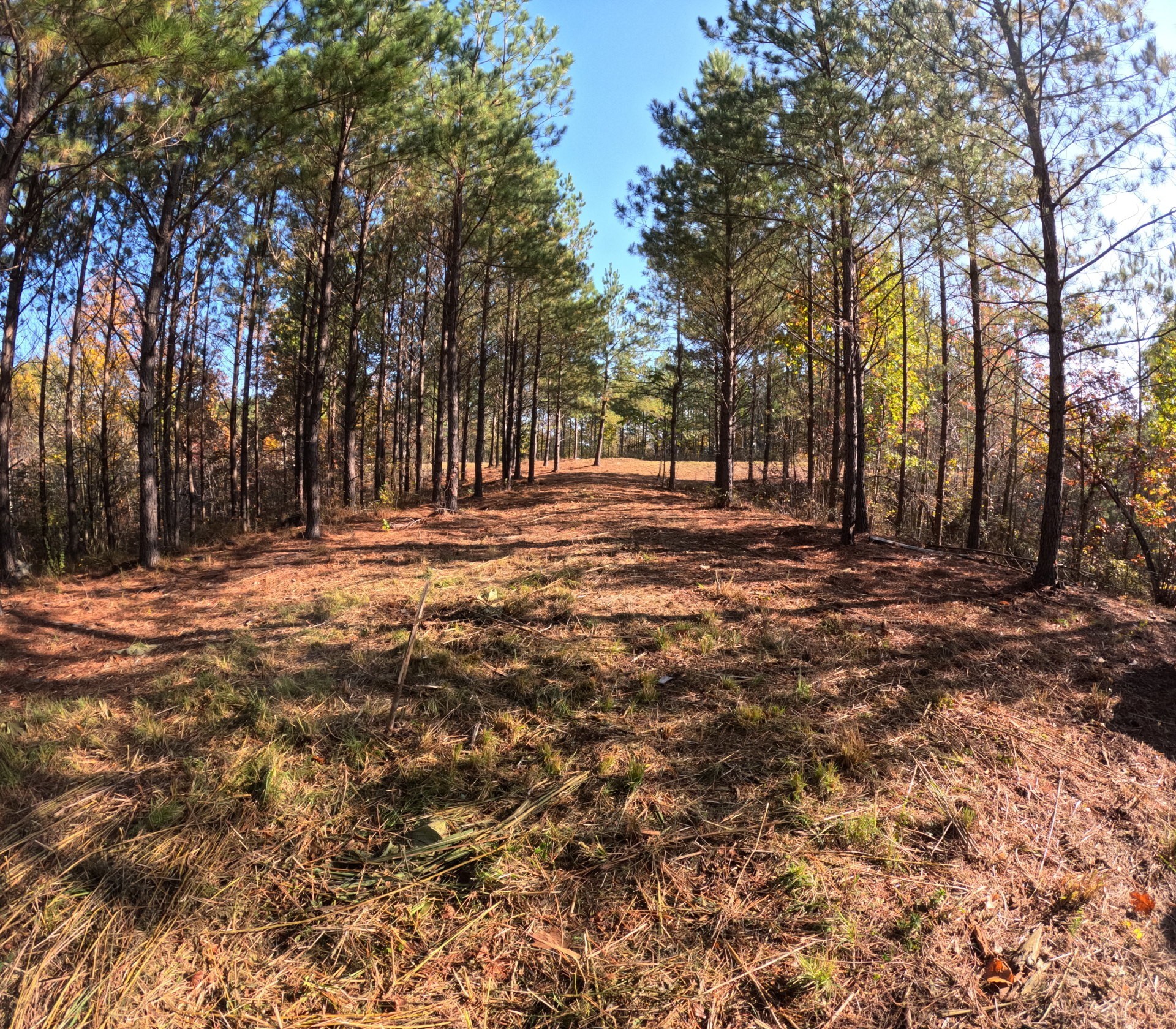 3020 Mcgee Rd